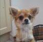 Mitsy