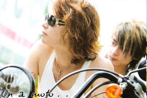 VAMPS
