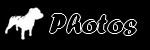 Galerie photos