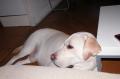 Album par d�faut