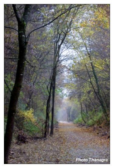 Sur la route de Dampierre