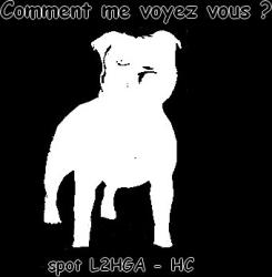PPS - L2HGA - HC