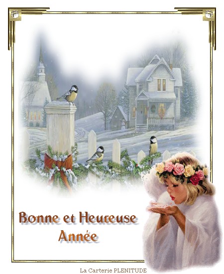 Bonne année4