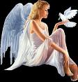 PAUSE DOUCEUR ET REVE