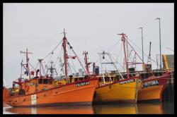 Port de Rawson