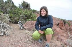 C&eacute;line au milieu des pingouins