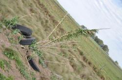 Au bord des routes