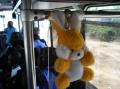 les amis des enfant dans bus