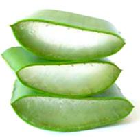 Feuille d'aloe vera coup&eacute;e