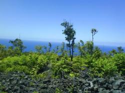 entre mer et volcan