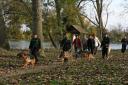 cani-marche