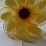 Le tournesol
