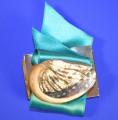 Broche Coquillage