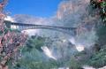 Tlemcen