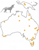 Cryptozoologie cryptozoology thylacine Thylacinus cynocephalus loup marsupial tigre de tasmanie