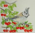 mesange hupp&eacute;e aquarelle