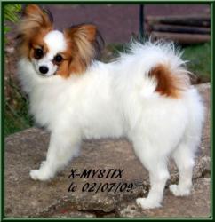 Mystix