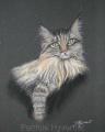 chat norv&eacute;gien pastel sur pastelmat 30x24