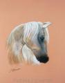 cheval pastel