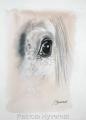 oeil de cheval technique mixte sur papier