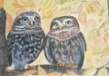 couple cheveches aquarelle