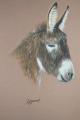 ane pastel