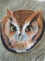 petit duc (usa) aquarelle