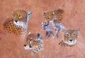guepard techn mixte sur papier himalaya