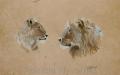 lions technique mixte sur papier d'himalaya