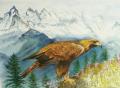 aigle aquarelle