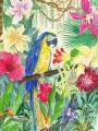 perroquet aux fleurs  aquarelle