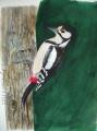 pic epeiche aquarelle