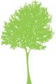 Arbre vert.jpg