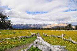 Parc national Los Glaciares