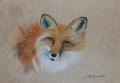 portrait renard techn mixte sur papier himalaya