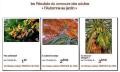 Nos amis peintres et photographes. Expositions.
