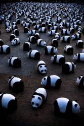 WWF
