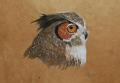 grand duc techn mixte sur papier himalaya
