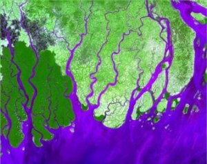 Ganges Delta