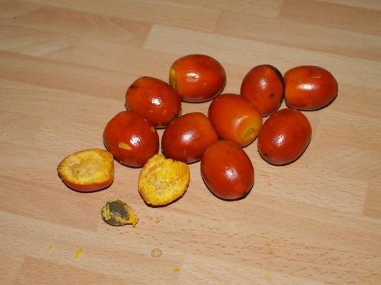 Chimio Fait Grossir