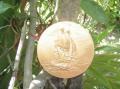 R�compense remise par M TALLEC