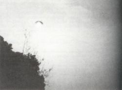 12 Février 1971 Alta Córcega, Francia