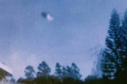 29 mai 1973 Natal, Afrique du Sud