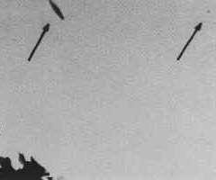3 sept.1975 Nagoya, Japon