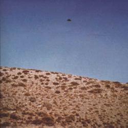 18 Févr.1975 Ponta Cuevas, Chubut, Argentina