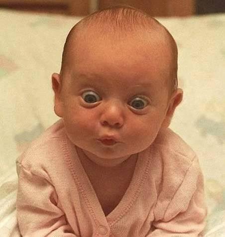 B&eacute;b&eacute; insolite 13