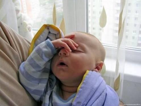 B&eacute;b&eacute; insolite 16