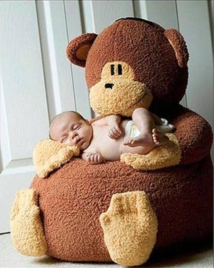 B&eacute;b&eacute; insolite 7