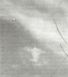 10 Mars1977 Indianapolis, Indiana, Estados Unidos 3