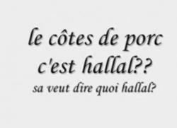 viande hallal,cachere,video drole religieuse,parodie